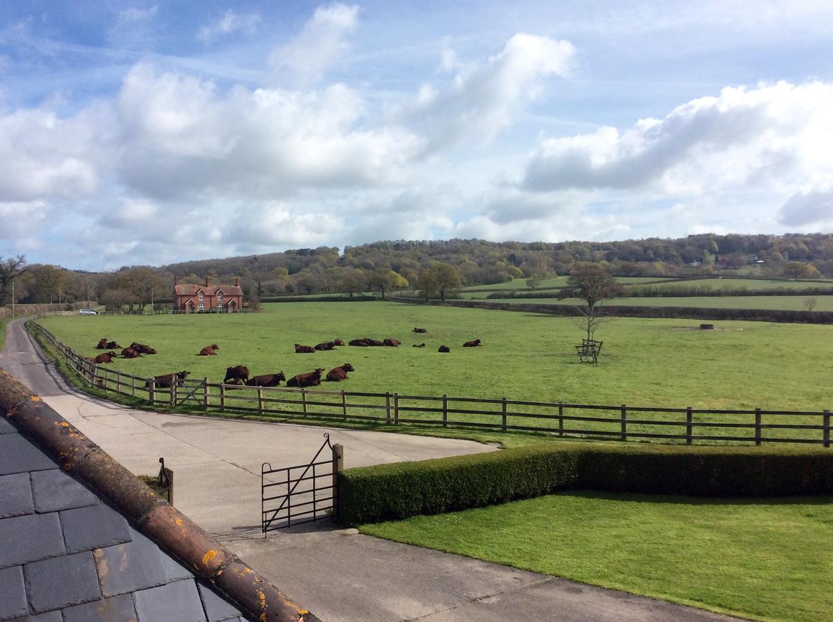 Moors Farmhouse Bed & Breakfast East Knoyle ภายนอก รูปภาพ